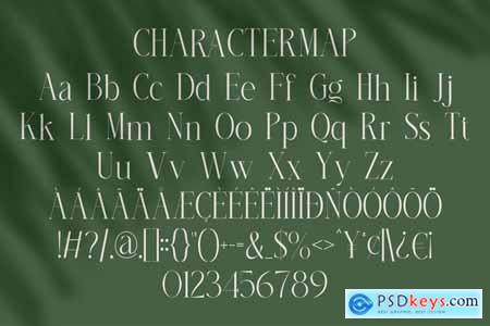 Rafitha Modern Classy Serif Font