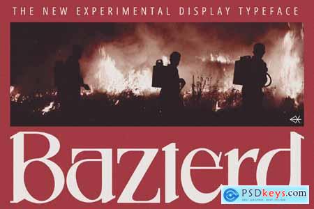 Bazterd - Experimental Display