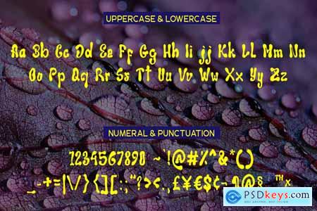 Wakaba Liquid Display Typeface