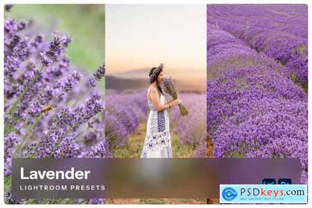 Lavender Lightroom Presets