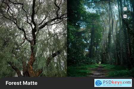 Forest Matte Lightroom Preset