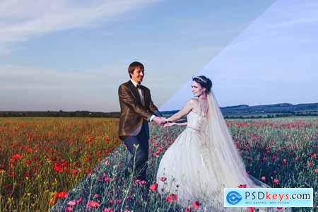 Lightroom Preset - Timeless Wedding