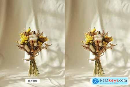 Classic Clean Lightroom Presets