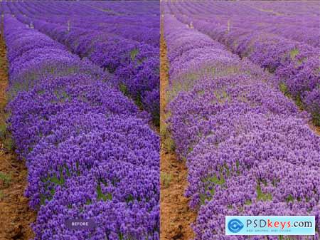 Lavender Lightroom Presets