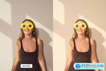 Classic Clean Lightroom Presets
