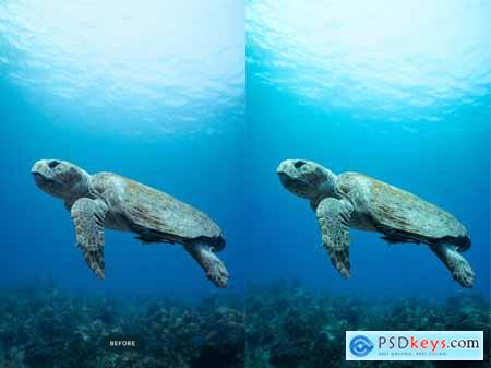 Underwater Lightroom Presets
