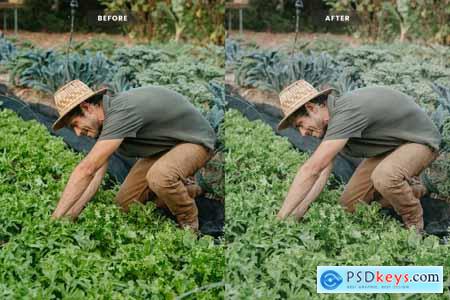 Farmer Lightroom Presets