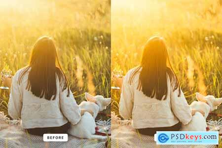 Golden Hour Lightroom Presets