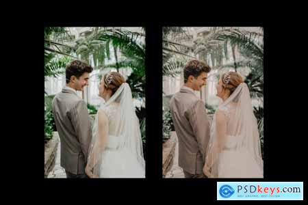 Wedding Presets