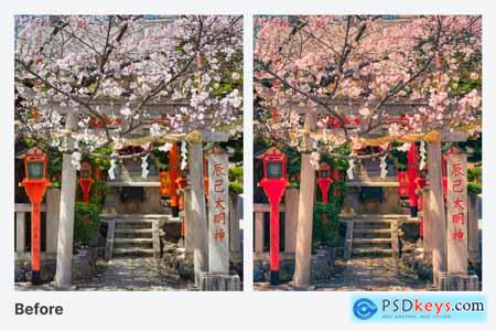 Anime Scene Lightroom Preset
