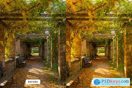 Golden Hour Lightroom Presets