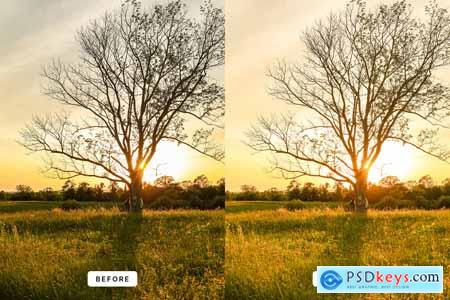 Golden Hour Lightroom Presets