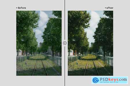 Rich Mood - Actions and Presets