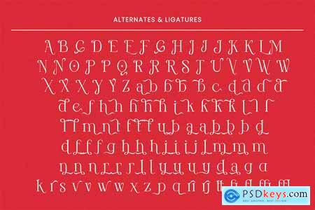 Perfect Christmas - Elegant Serif Font