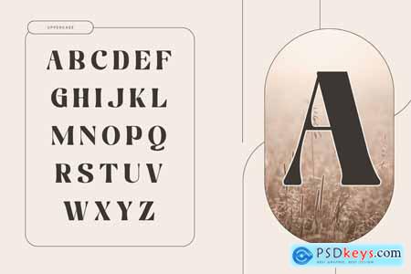 Martina Retro - Branding Logo Font