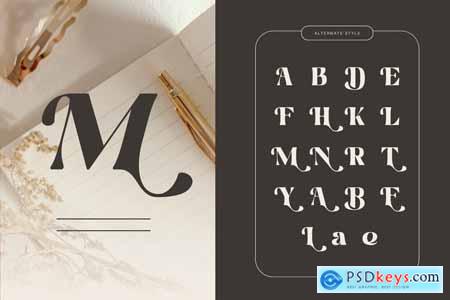 Martina Retro - Branding Logo Font