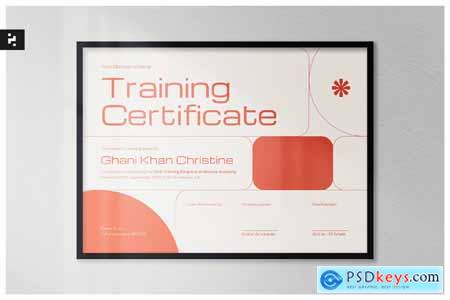 Modern Skill Training Certificate