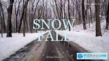 Snow Fall 60225070