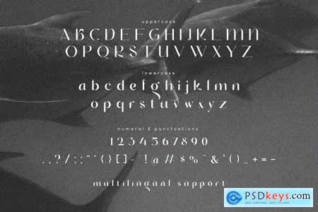Cerkiymo Elegant Typeface