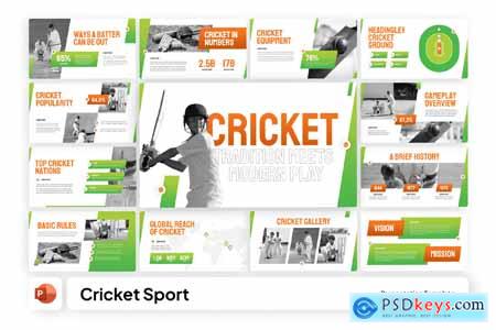 Cricket Sport PowerPoint