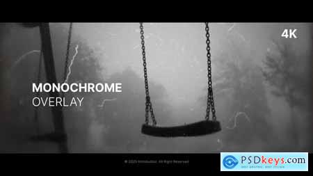 Monochrome Overlay 60362742
