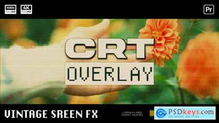 Analog Screen Overlay 60447147