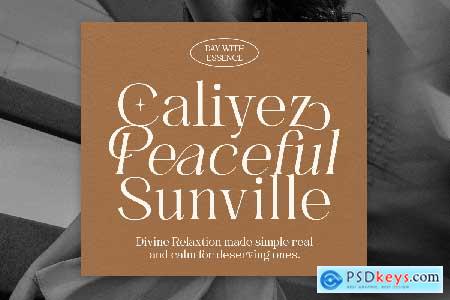 Voices Miracle - Modern Aesthetic Serif Font