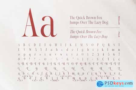 Native Designer - Delicate Serif