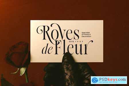 Native Designer - Delicate Serif