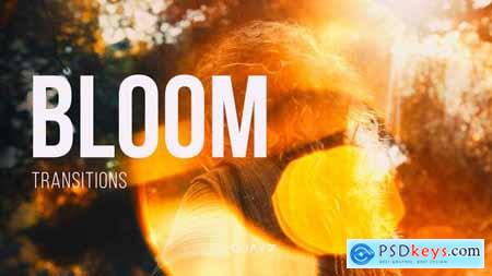 Bloom Transitions for After Effects 60506513