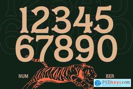 Locatro - Western Display Typeface Font