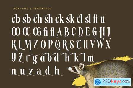 Rachon - Bold Tall Serif Display Font