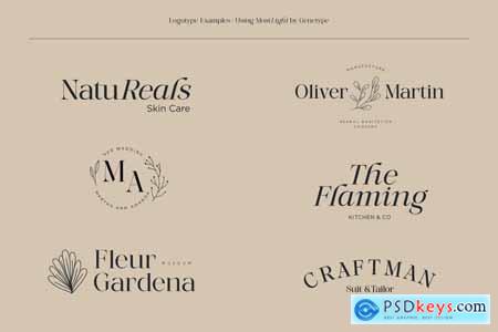 MoreLight  Elegant Display Serif Logo Font