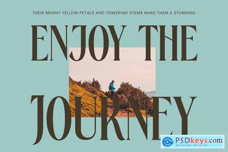 Rachon - Bold Tall Serif Display Font