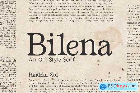 Old Style Serif - Bilena