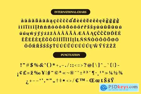 Volkgen Migario - Bold Serif Display Font