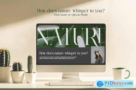 Sesbania - Minimal Modern Logo Branding Serif Font