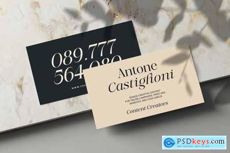 MoreLight  Elegant Display Serif Logo Font