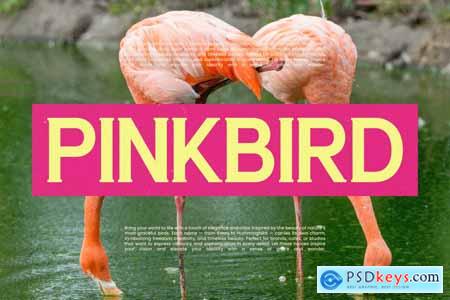 Morning Breakfast - Display Serif Font