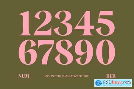 Sagira Beverly - Bold Tall Serif Font