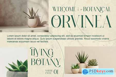 Sesbania - Minimal Modern Logo Branding Serif Font