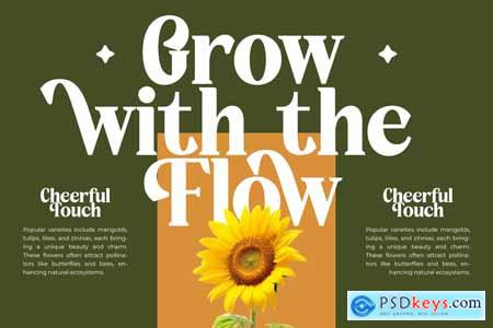 Rusty Drake - Bold Serif Display