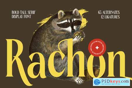 Rachon - Bold Tall Serif Display Font