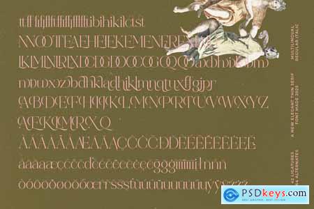 Reaons - Elegant Thin Serif Font