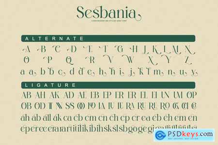 Sesbania - Minimal Modern Logo Branding Serif Font