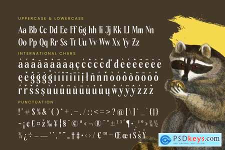 Rachon - Bold Tall Serif Display Font