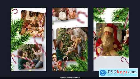 Christmas Photos Gallery 60731261