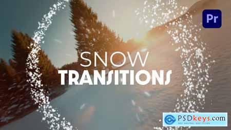 Snow Transitions 60823528