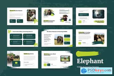 Elephant - Wildlife PowerPoint