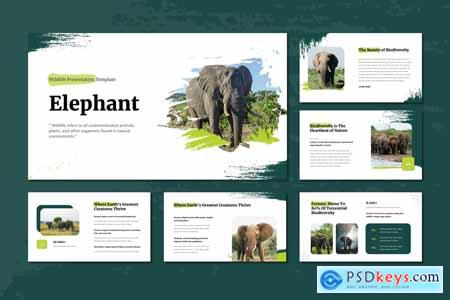 Elephant - Wildlife PowerPoint